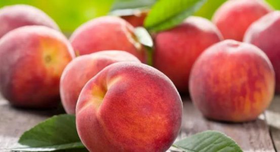 过敏体质的人能不能吃桃子？